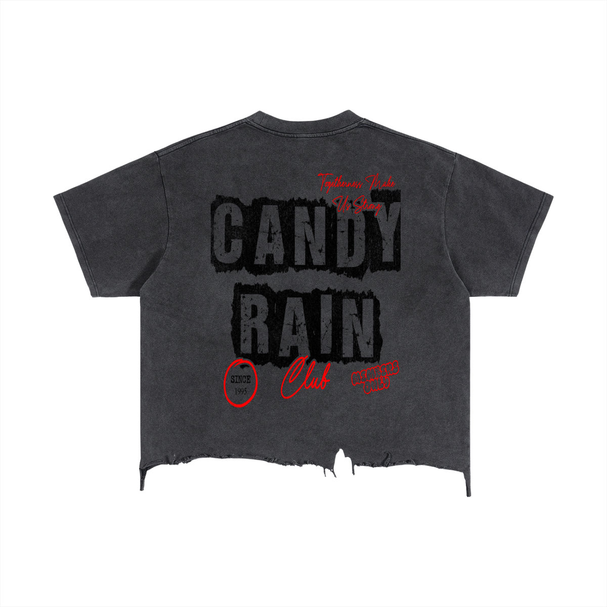 Soul for Real Vintage Wash Boxy Tee in Gray, alternate view — official band merch