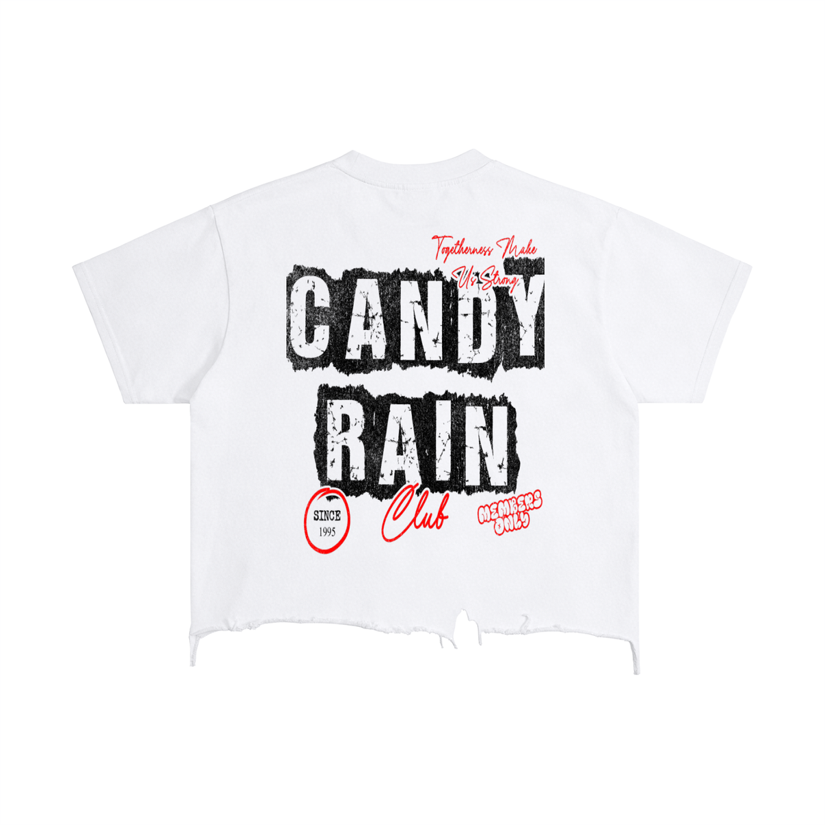 Soul for Real Vintage Wash Boxy Tee in White, alternate view — official band merch