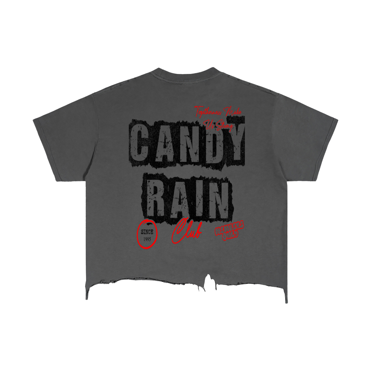 Soul for Real Vintage Wash Boxy Tee in Black, alternate view — official band merch